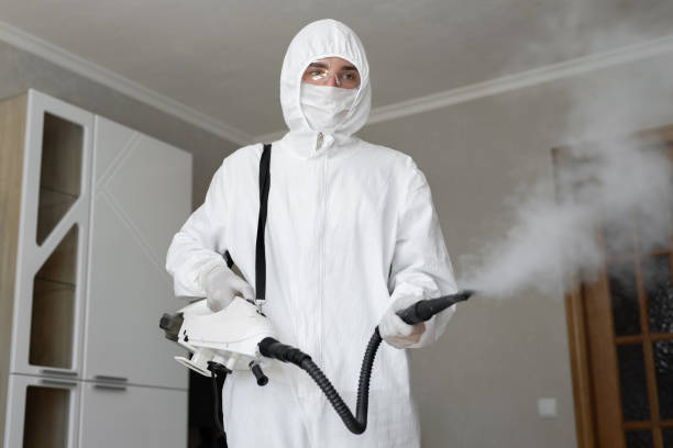 Best Attic Mold Removal  in Inglenook, CT